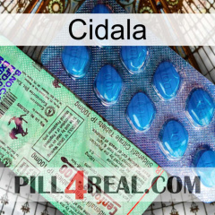 Cidala new02